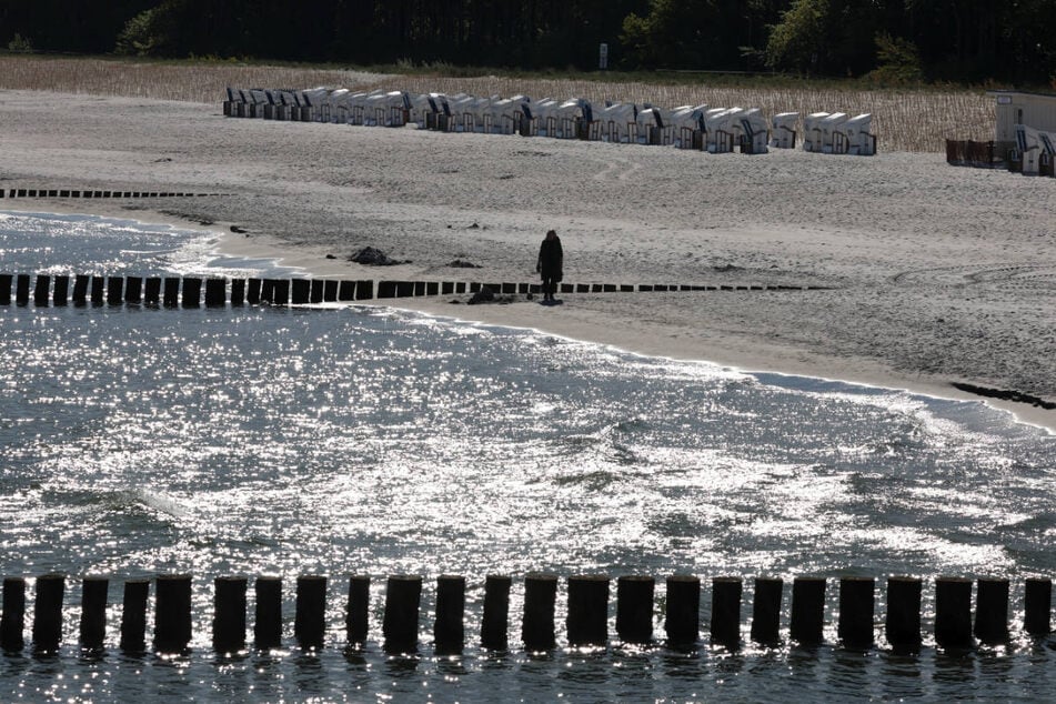 Der Strand von Zingst wird bald von Haien heimgesucht - auf großformatigen Fotos.