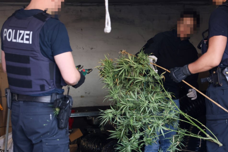 Zeugen entdecken verdächtiges Kabel unter Gehweg, dann rauscht Polizei ganz schnell an