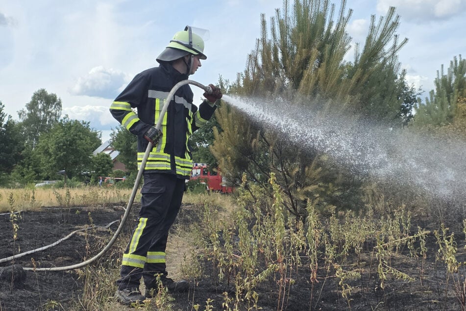 Die Feuerwehr konnte den Brand inzwischen löschen.