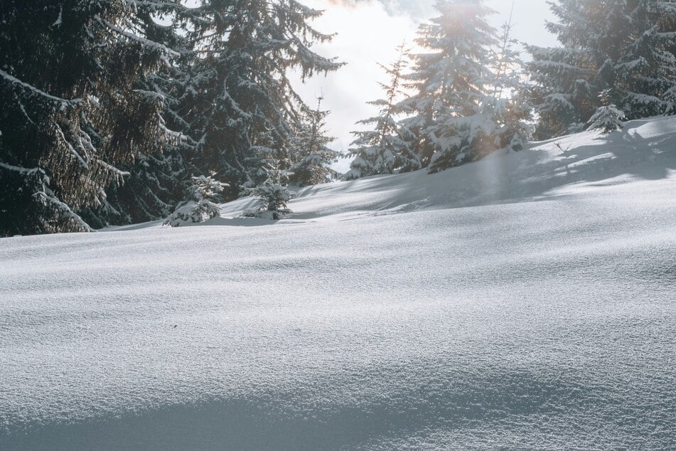 Eight out of nine missing skiers lost in California avalanche have been found dead