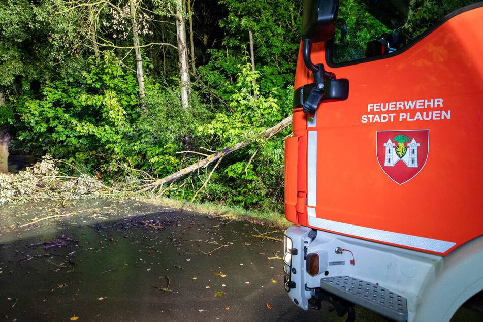 In Plauen musste die Kemmlerstraße gesperrt werden, nachdem ein Baum bei einem Gewitter umgestürzt war.