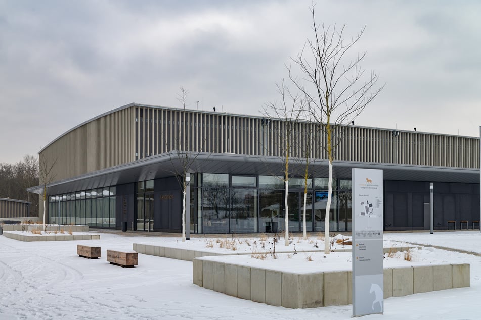 Austragungsort ist die 2025 eröffnete Multifunktions-Reithalle des Landgestüts.