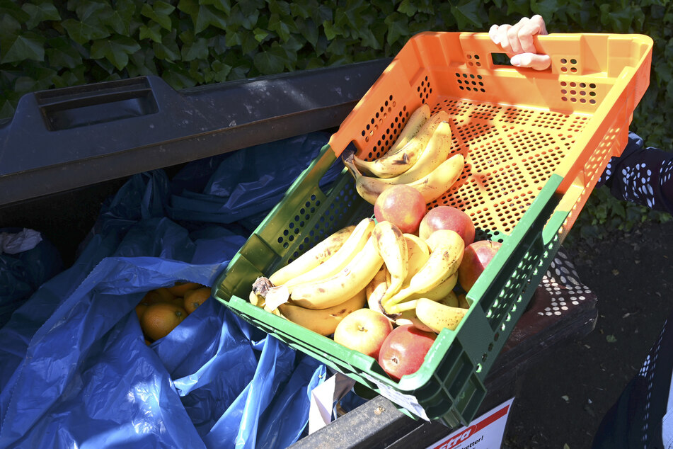 Wird das Containern legal? Das "Problem" mit weggeworfenen Lebensmitteln
