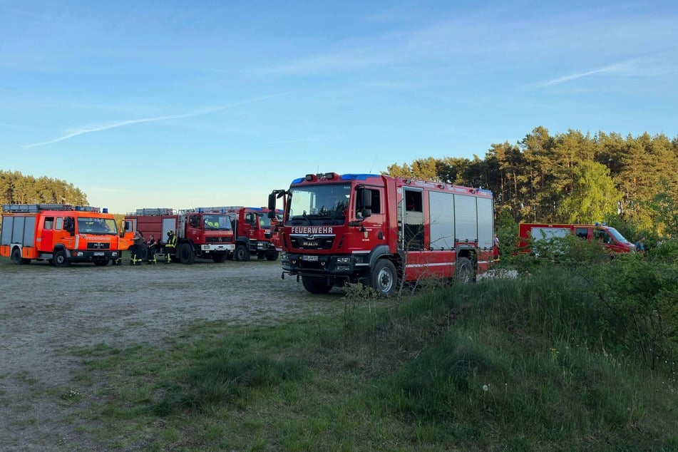 Der Waldbrand an der Ruppiner Heide hatte am Donnerstagabend für einen Großeinsatz der Feuerwehr gesorgt.