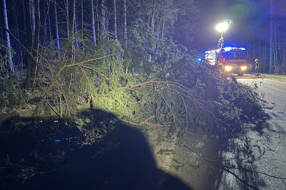 Feuerwehreinsatz im Erzgebirge: In der Nacht kippte eine Fichte auf die Straße.