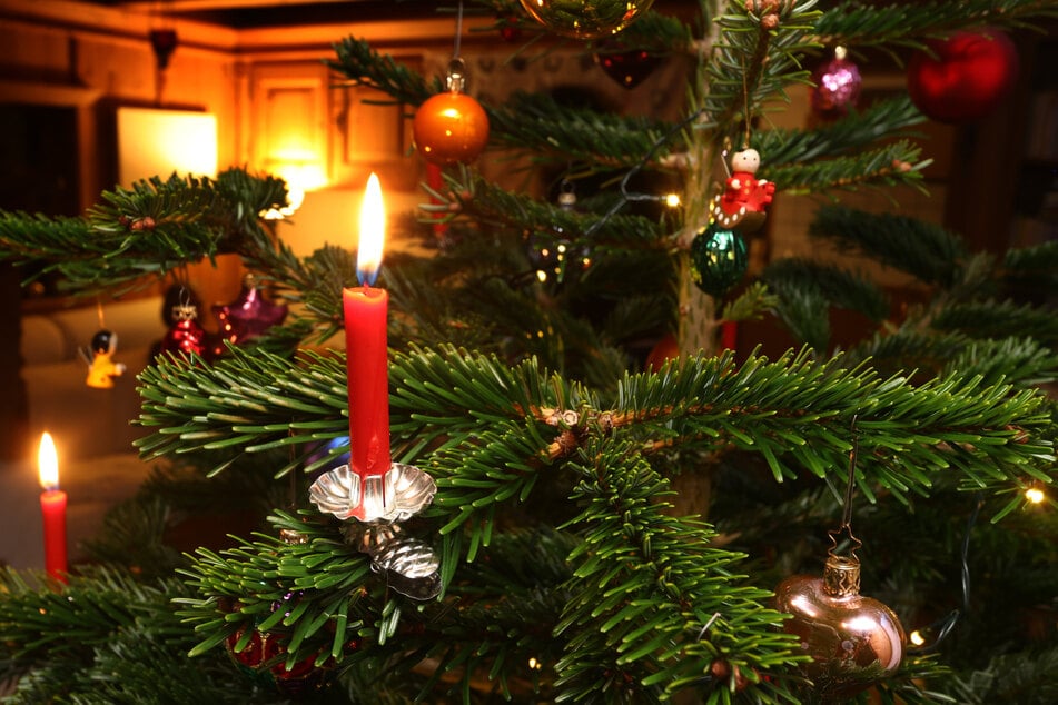 Der Preis für Weihnachtsbäume dürfte steigen. (Symbolbild)