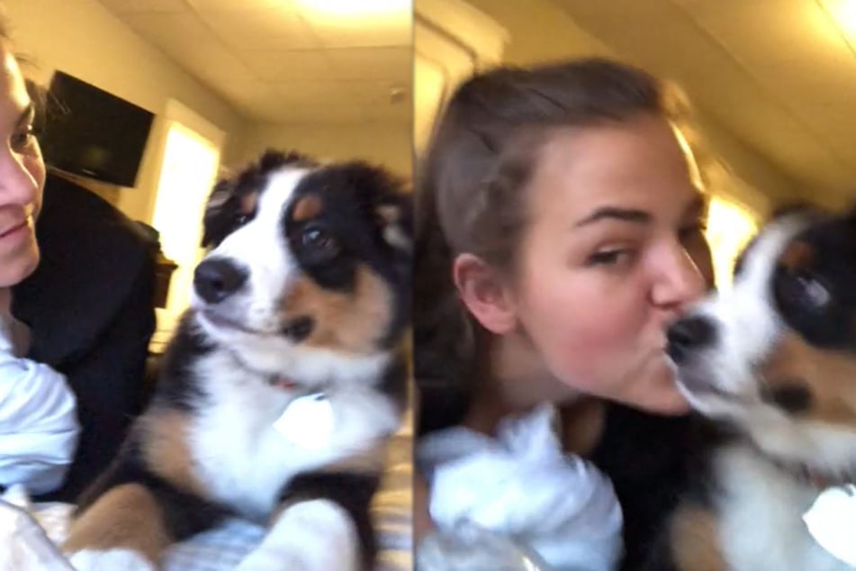 Frauchen küsst Hund: Dessen Reaktion begeistert Zehntausende