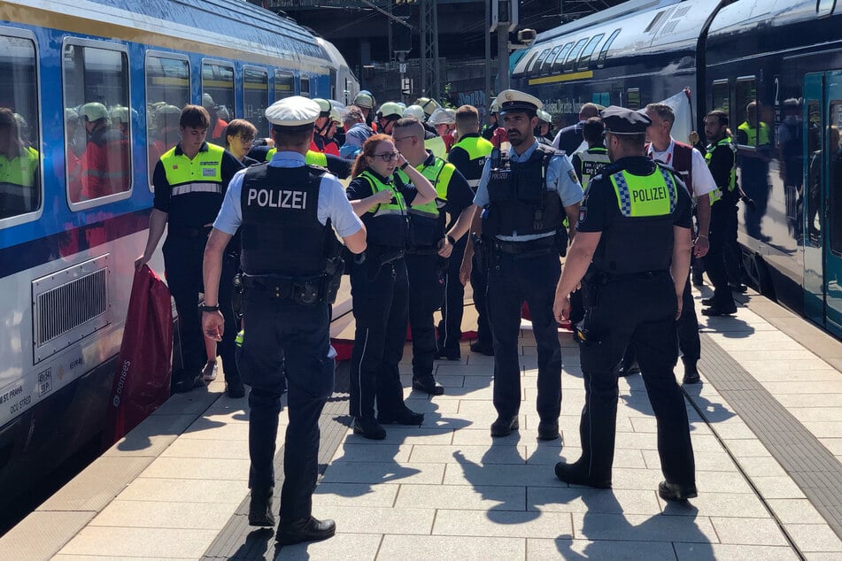 Am Hamburger Hauptbahnhof ist am heutigen Dienstag ein Mann in den Spalt zwischen Zug und Bahnsteig gestürzt. Er wurde dabei verletzt.