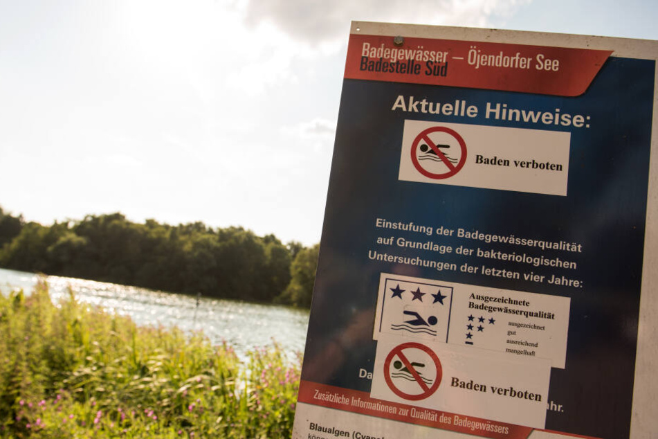Bereits im vergangenen Jahr wurde ein "Baden verboten"-Schild am Öjendorfer See aufgestellt.