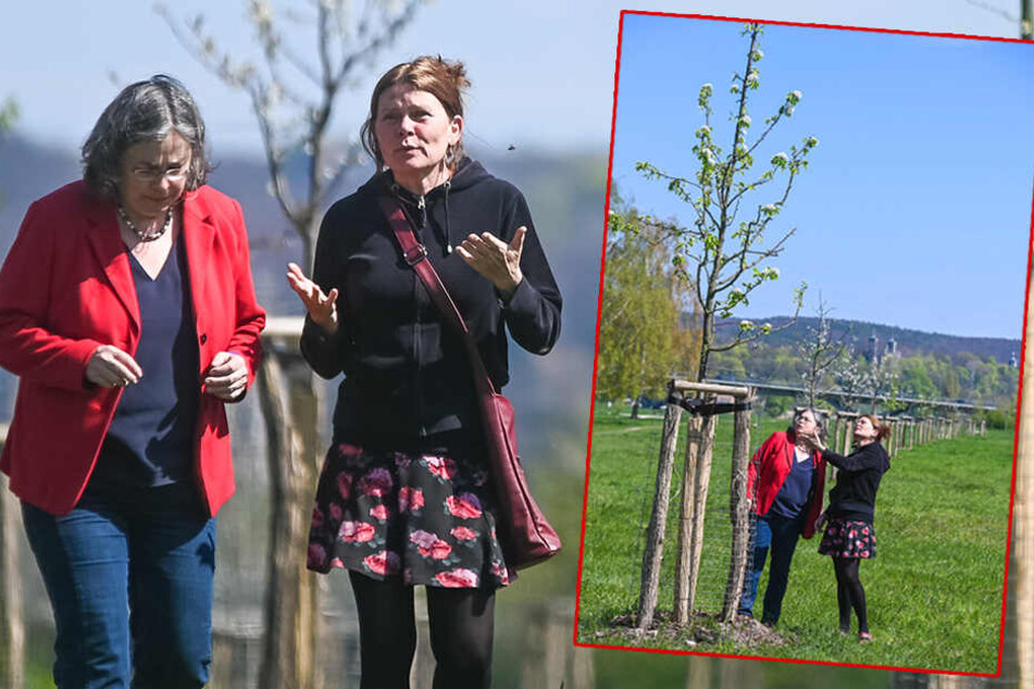 Umweltbürgermeisterin Eva Jähnigen (53, Grüne) und Petra Costa (60), Sachbearbeiterin im Umweltamt, in der Obstwiese.