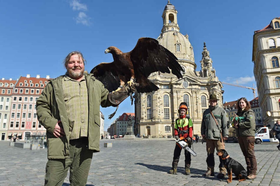 So grün wird's im Mai auf dem Neumarkt. Falkner Peter Schaf (47) und Seeadler Shiva (10) demonstrieren schon einmal, was der geplante "Waldmarkt" zu bieten hat.