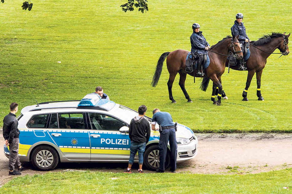 Die Pferde im Alaunpark sollen die Neustadt sicherer gemacht haben.