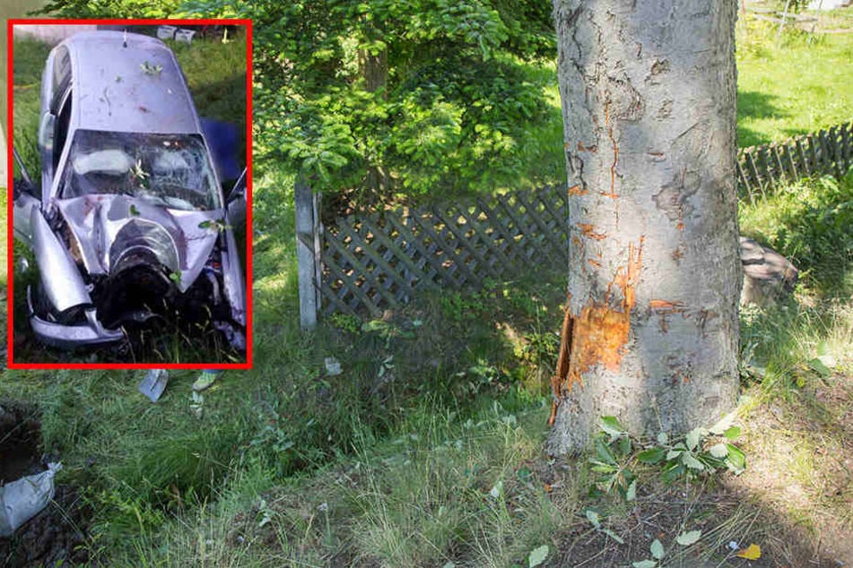 Seat kracht gegen Baum: 32-jähriger Fahrer stirbt bei Unfall in Sachsen