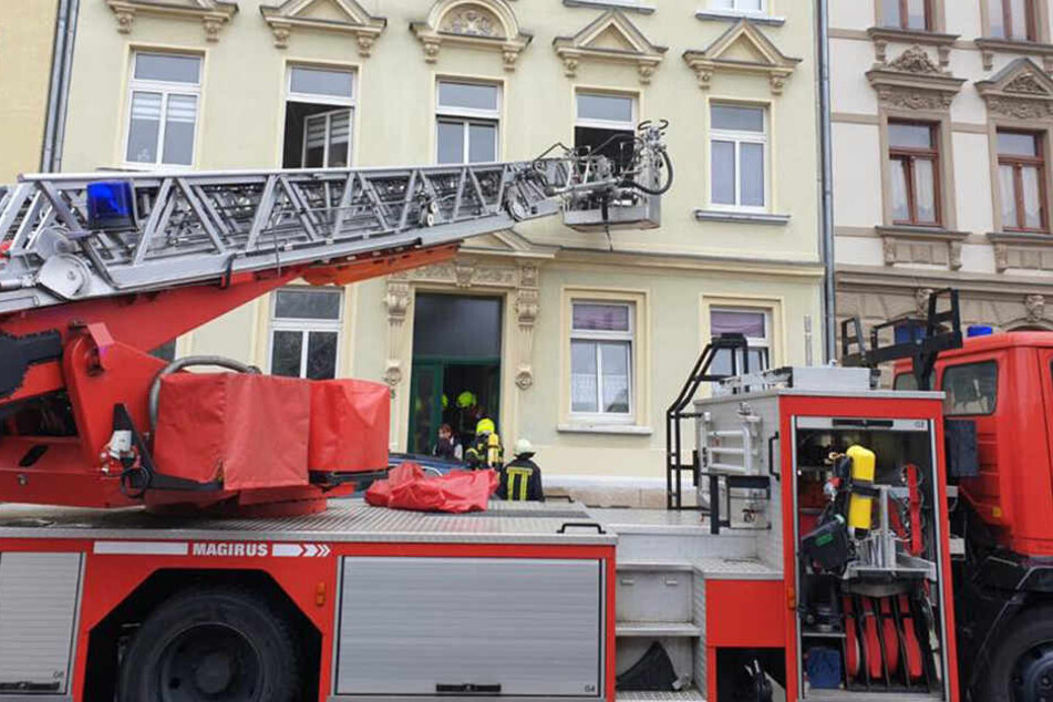 Hund Holt Sich Ein Leckerli Aus Kuche Dann Steht Die Wohnung In Flammen Tag24