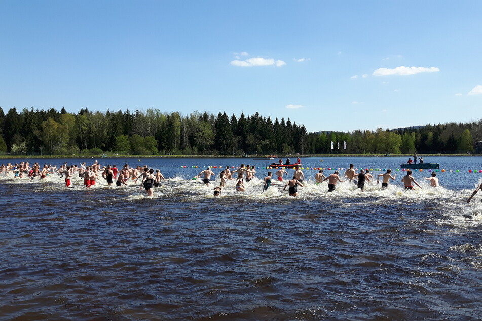 Im Filzteich kann an diesem Samstag angebadet werden.