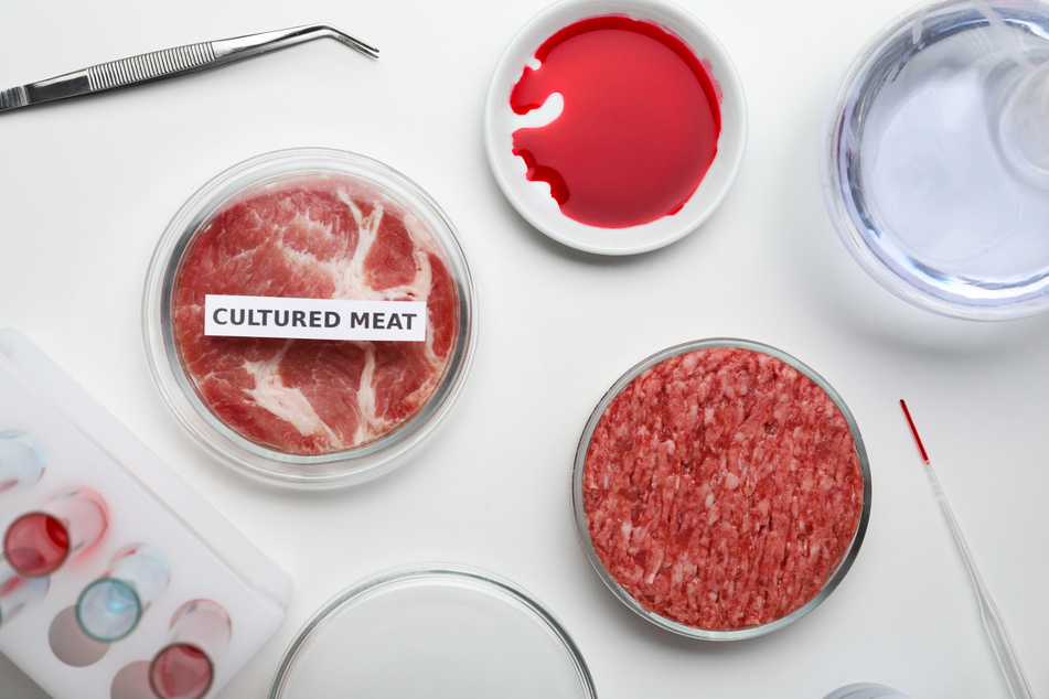 Im Labor gezüchtetes Fleisch soll laut einer neuen Studie ein vielfach höheres Treibhauspotential haben als herkömmliches Fleisch aus dem Einzelhandel. (Symbolfoto)