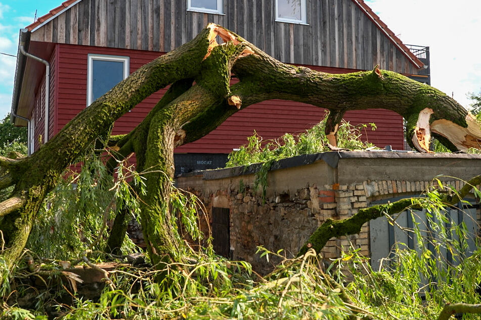 Zahlreiche Bäume stürzten um - in Kirtorf-Arnshain im Vogelsbergkreis kam es am Dienstag zu einem schweren Unwetter.
