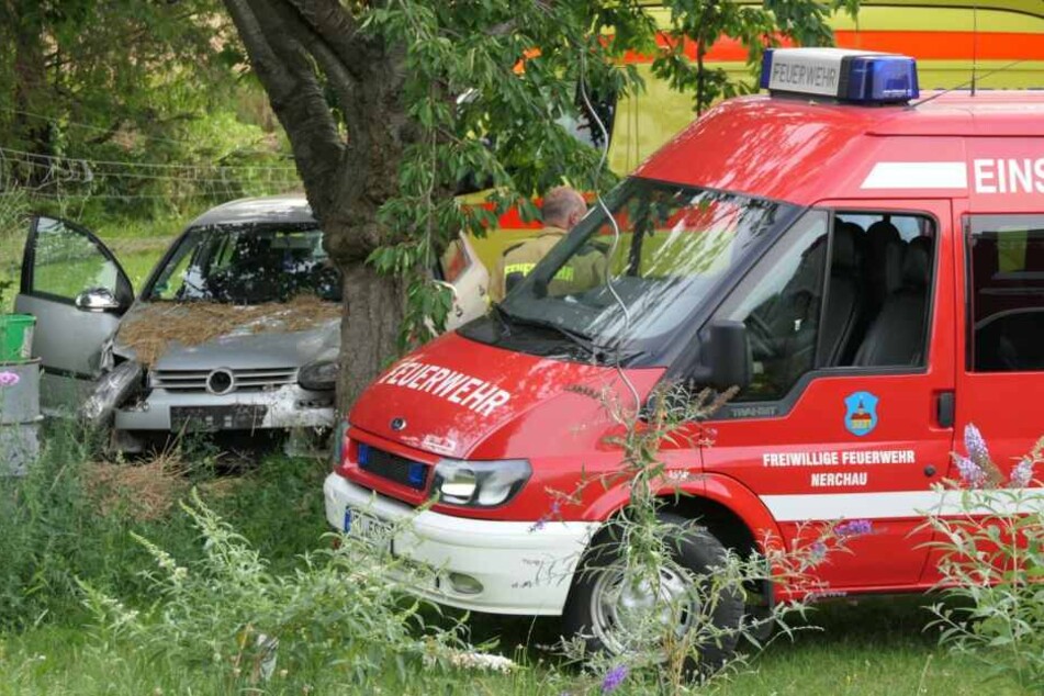 An diesem Baum auf einem Privatgrundstück kam der VW Golf zum Stehen. Der Fahrer musste reanimiert werden.