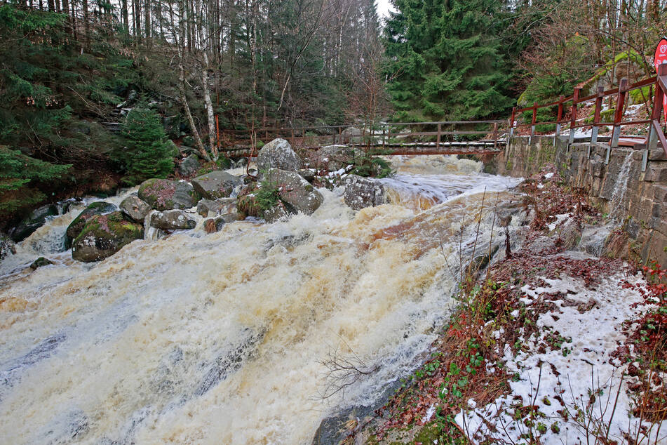 Im Landkreis Harz wurde die erste Alarmstufe für Hochwasser überschritten.