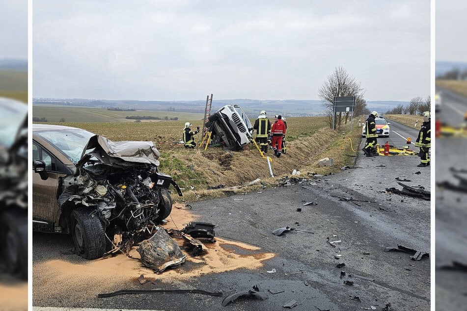 Eine Autofahrerin wurde leicht verletzt. Zudem trug ein Hund leichte Verletzungen davon.