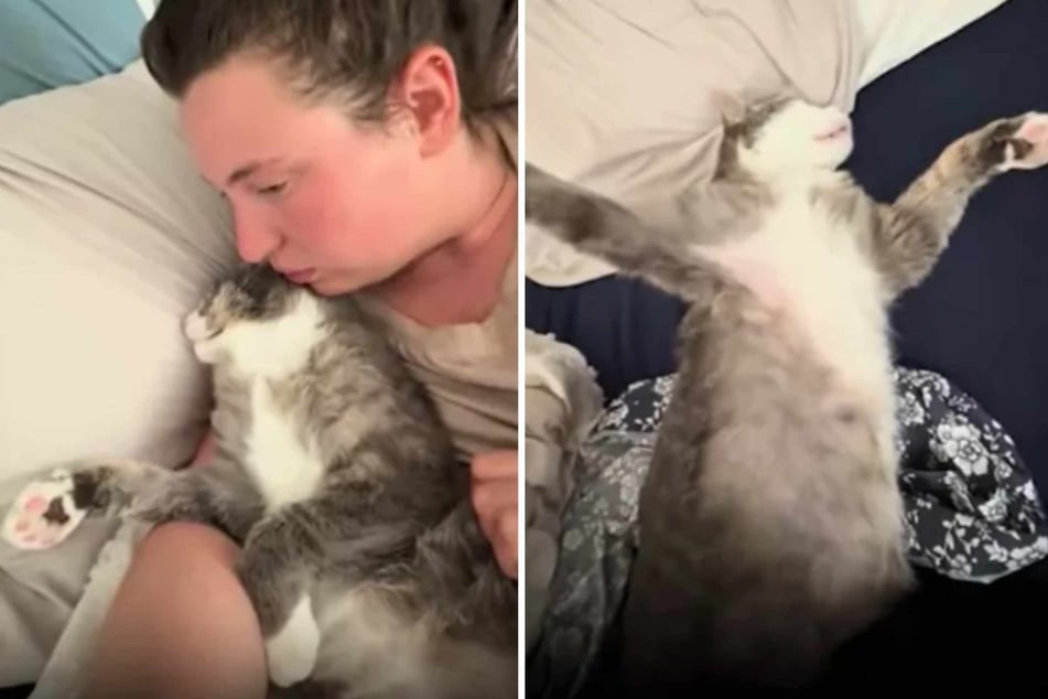 Woman thinks her cat is playing dead – then she realizes the horrifying truth