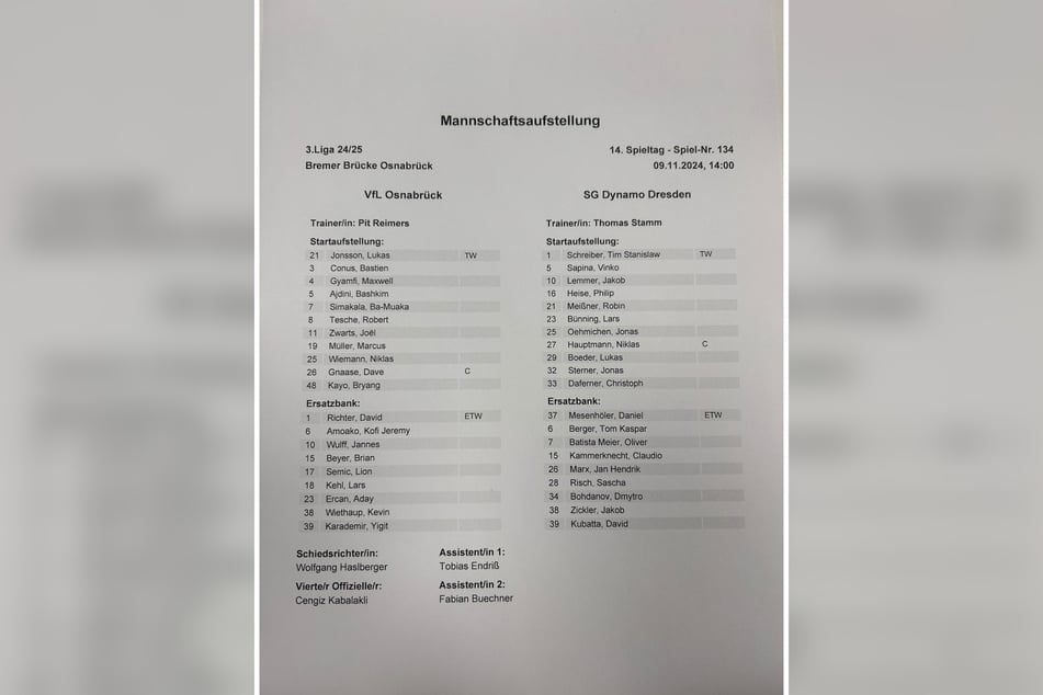 Die Startelf von Dynamo Dresden.