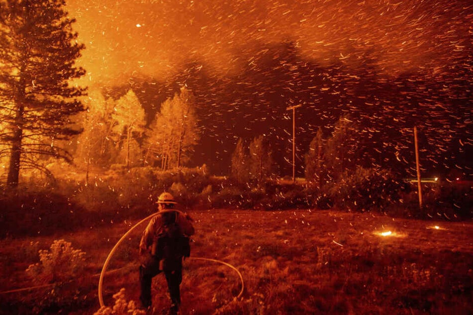 Bevor die Waldbrände derart eskalieren wie hier in Kalifornien, verbreiten sie sich meist über weite Strecken völlig unbemerkt. Und sind dann kaum noch zu kontrollieren.