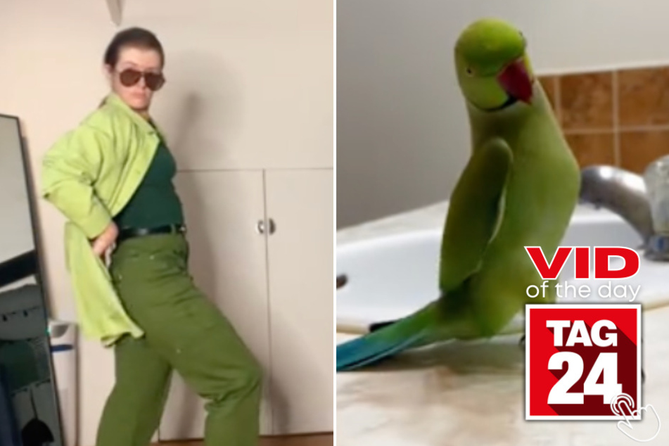 Today's Viral Video of the Day features a TikToker who hilariously, and accurately, recreates a bird's talented dance moves!
