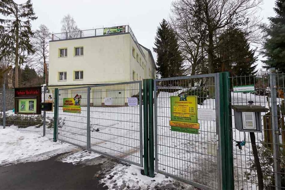 Ein Gitter trennt mittlerweile die ziemlich besten Freunde. Trotzdem kommt man sich beim Fressen nahe.