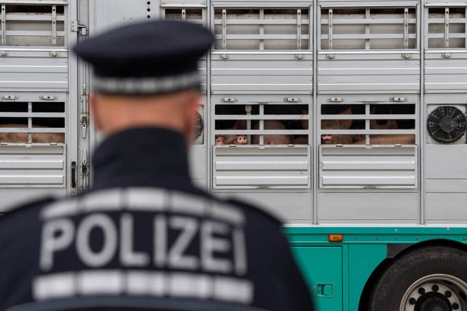Aufmerksame Zeugen hatten den Transporter der Polizei gemeldet. (Symbolbild)
