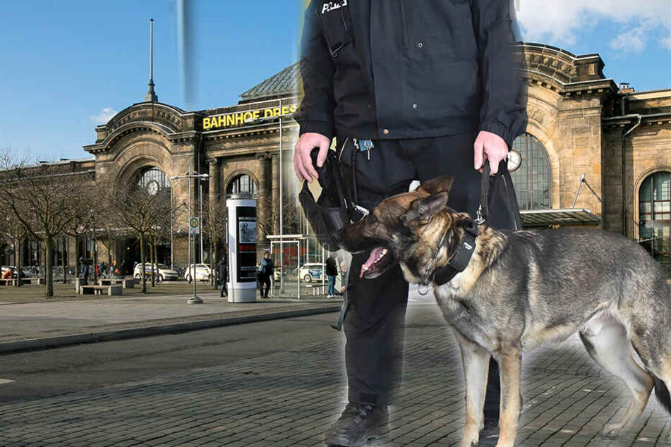 Ein 34-Jähriger erlitt Verletzungen bei einer Hunde-Attacke.