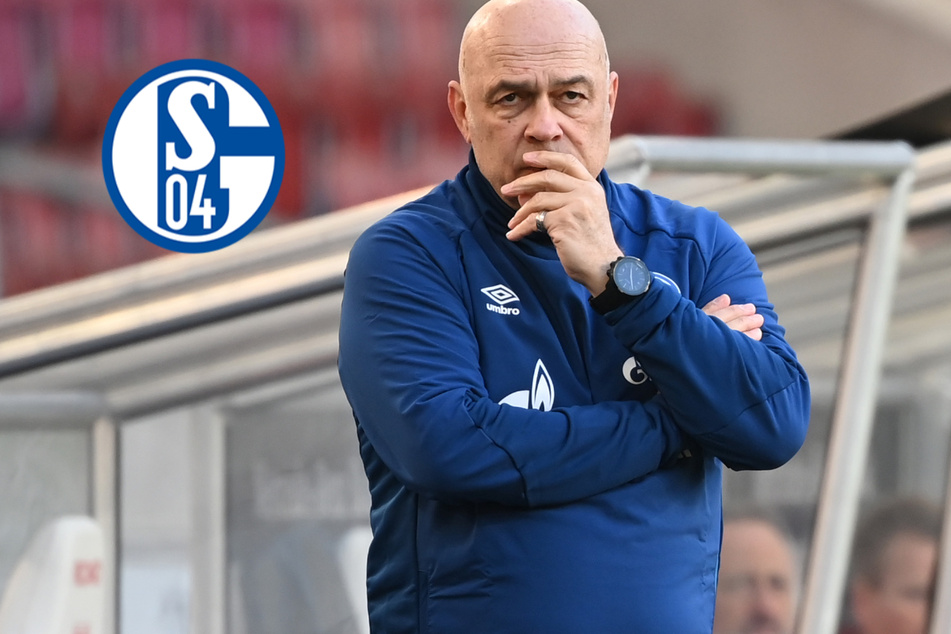 S04-Coach Gross offenbar vor dem Aus! Desolates Schalke mit Auflösungs-Erscheinungen