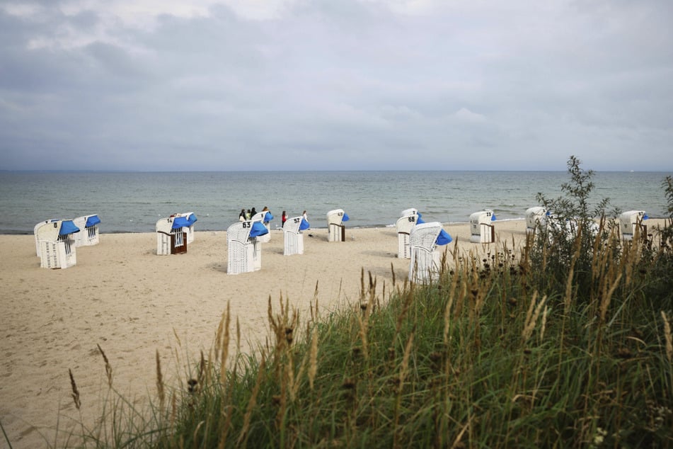 Die Zahl der Neuinfektionen mit dem Coronavirus in Schleswig-Holstein sind niedrig.