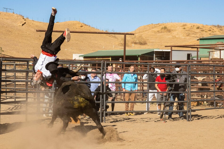 Johnny Knoxville steps into the ring with a bull...again.