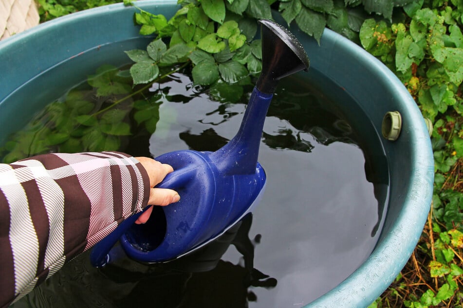 Im Hildegarten in Plagwitz könnt Ihr jeden Montag zwischen 16 und 19 Uhr mitgärtnern. (Symbolbild)