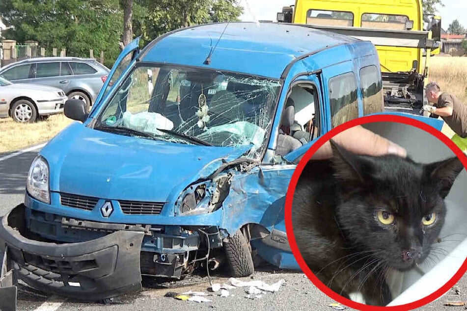 Zwei Personen wurden durch den Unfall schwer verletzt.