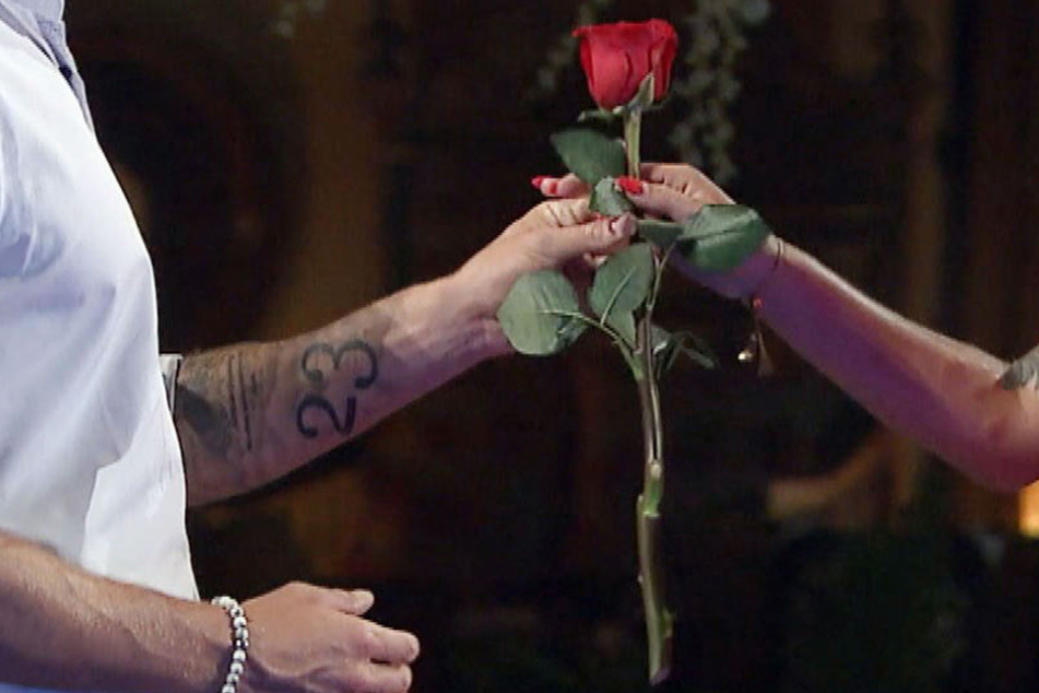 Begehrt wie eh und je: die "Bachelor"-/"Bachelorette"-Rose.