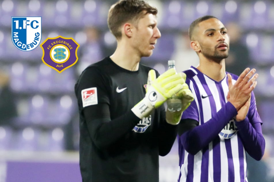 Aufsteiger 1. FC Magdeburg schnappt sich Spieler von Erzgebirge Aue