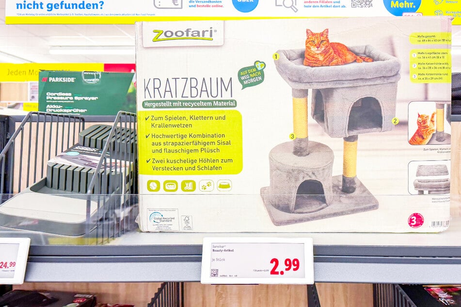 Lidl begeistert ab Donnerstag (19.3.) mit diesen Sonderangeboten