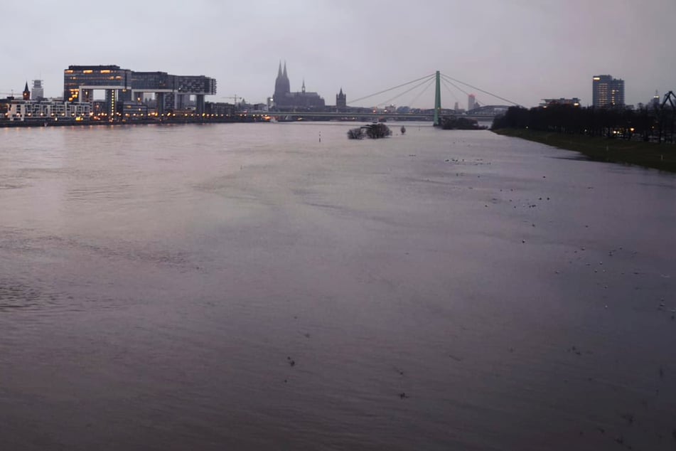 In Köln wird der Höchststand der Hochwasserwelle am Dienstag erwartet.