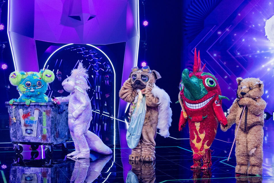Einige Teilnehmer der aktuellen ProSieben-Show "The Masked Singer" stehen auf der Bühne. Die Gesangs-Show erfreut sich bei den Zuschauern an großer Beliebtheit.