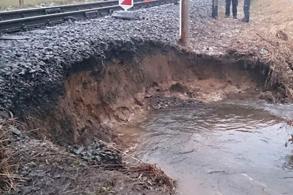 Hier war ein Biber am Werk - die Lößnitzgrundbahn muss pausieren.