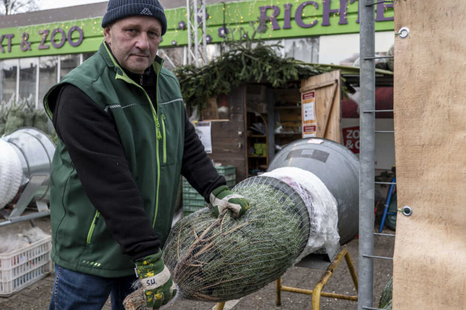 Steffen Uhlig (53) hat beim Gartenfachmarkt Richter Premium-Christbäume im Angebot.