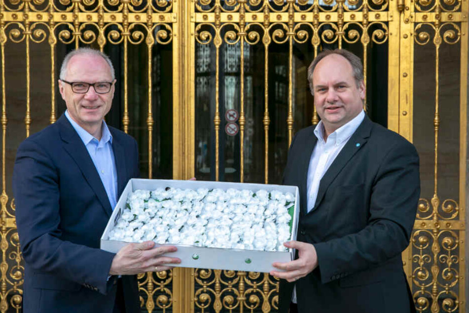 Der Sebnitzer Bürgermeister Mike Ruck (55) übergab am Rathaus 2000 weiße Rosen an Dresdens OB Dirk Hilbert (48, FDP) für die Gedenkfeierlichkeiten am 13. Februar.