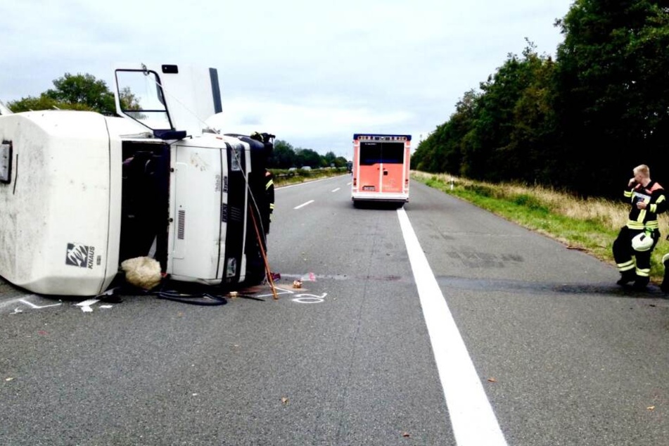 Auch die Feuerwehr war bei dem Rettung im Einsatz.