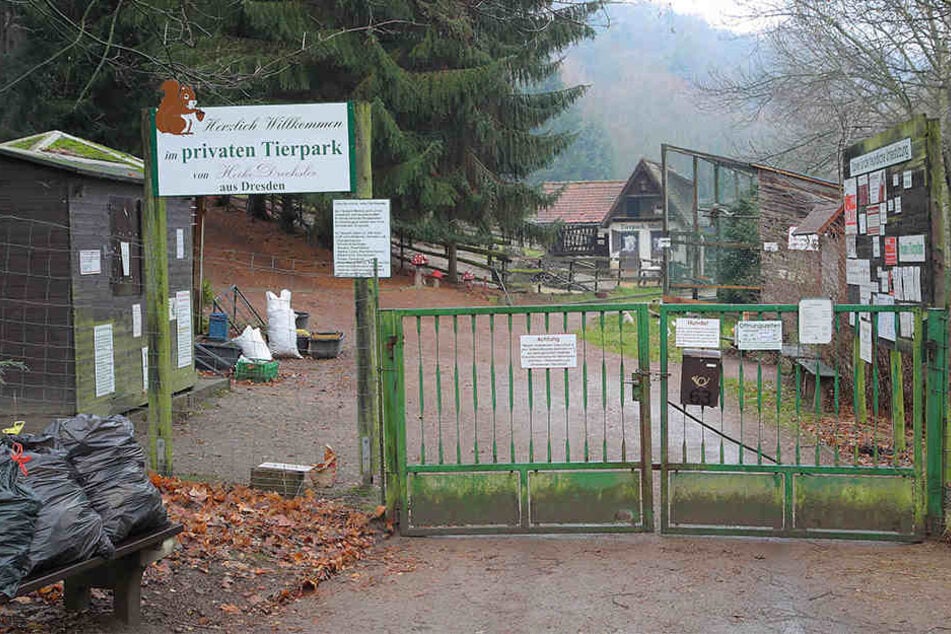Der privat geführte Tierpark "Siebeneichen" in Meißen muss aus Kostengründen über den Winter geschlossen bleiben.
