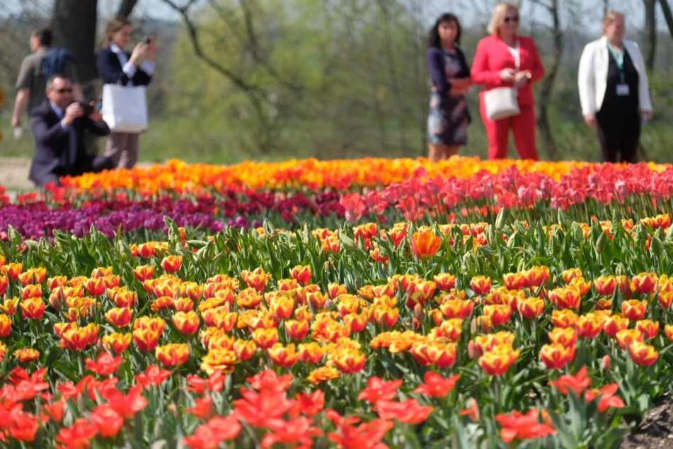Die sächsische Landesgartenschau lockte rund 400.000 Besucher an.
