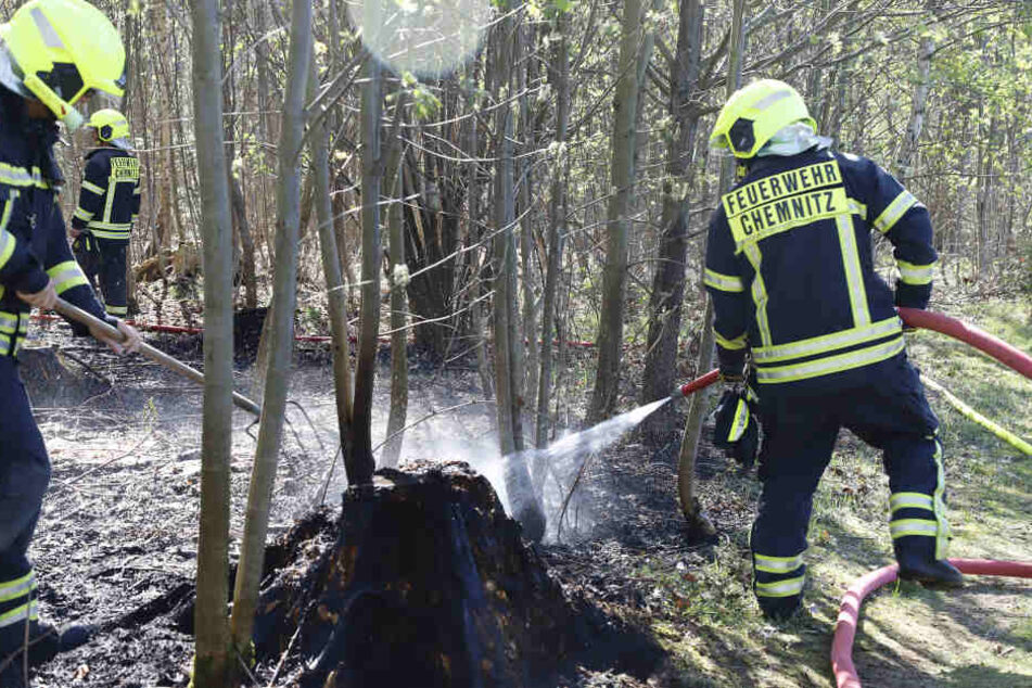 Die Feuerwehr konnte ein weiteres Ausbreiten der Flammen in Adelsberg verhindern.