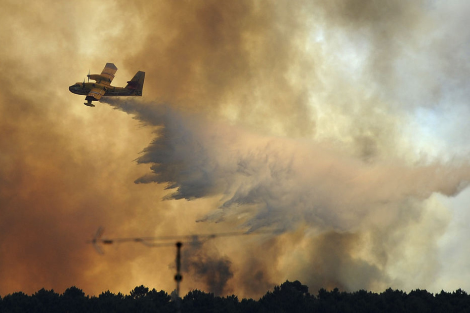 Ein Waldbrand in Portgual mit mindestens 62 Toten hat eine Spur der Zerstörung hinterlassen.