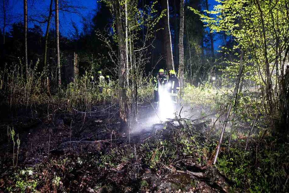 Schon wieder löschte die Feuerwehr mehrere Brände im Kamenzer Spittelforst.